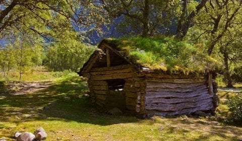 Oude houten schuur met gras op het dak