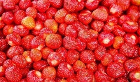 Fragole fresche e rosse di Valldal, lungo la strada da Ålesund verso i fjordi e i troll