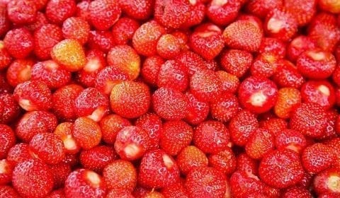 Fresh red strawberries from Valldal, close to Gudbrandsjuvet