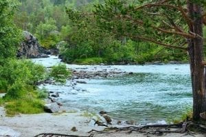 Rocas en un torrente de agua dulce a través de montañas, árboles verdes en las orillas