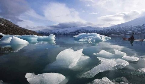 Kayaker on a glacier lake, blocks of ice floating on the water