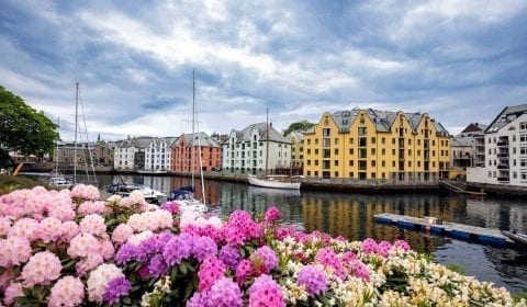 Yellow, red and white Art Nouveau buildings at the Brosund canal, pink and white flowers on the waterside