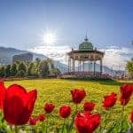 Rote Blumen vor dem Musikkpaviljong in der Sonne in Bergen