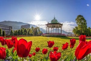 Rode bloemen voor het Musikkpaviljong in de zon in Bergen