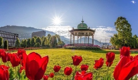 Rode bloemen voor het Musikkpaviljong in de zon in Bergen