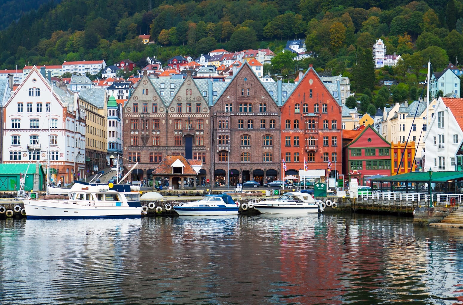 tour in bergen norway