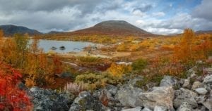 Beautiful autumn colors in Norway.