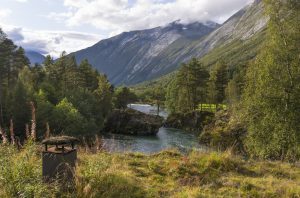 A view of the natural landscape surrounding the Juvet Landscape Hotel in Valldal, Norway.
