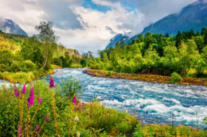 A view of the beautiful river of Loelva surrounded by trees, mountains, and wildflowers in Norway.